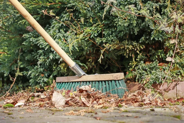 Lente reiniging in de tuin. Veeg droog blad. — Stockfoto