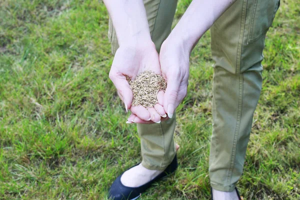 Женщина держит в руках семена травы — стоковое фото