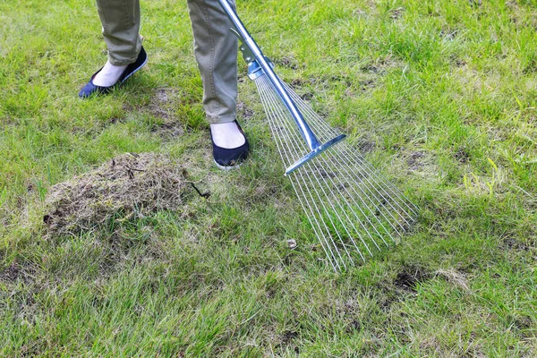 Lawn raking. Munka a kertben. — Stock Fotó
