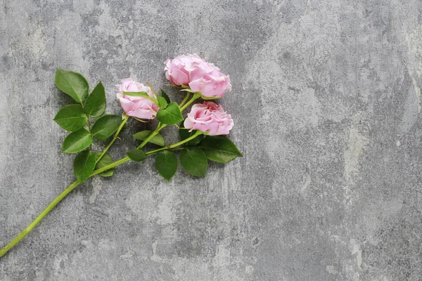 Růžové růže na kamenném pozadí — Stock fotografie