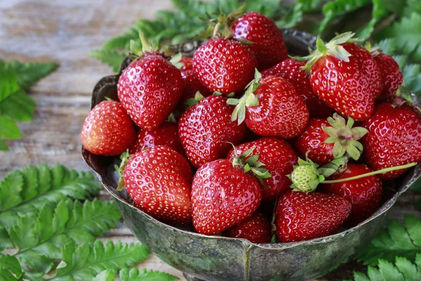 Schüssel mit Erdbeeren. — Stockfoto