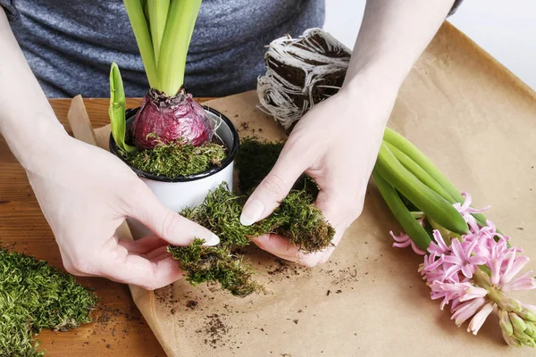 Nasıl pembe sümbül çiçekleri ile Paskalya masa dekorasyon yapmak, 