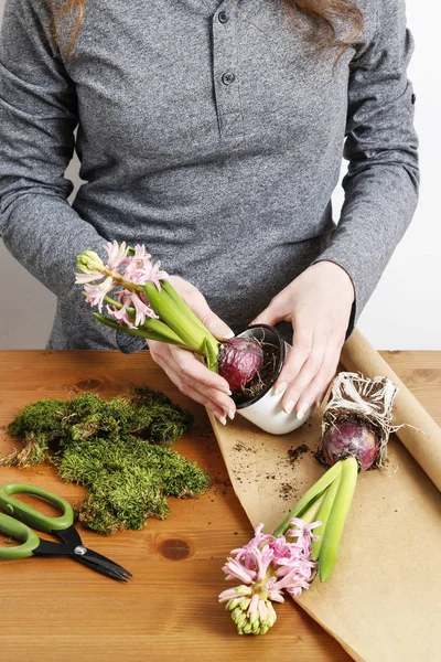 Jak udělat velikonoční dekorace s růžovými Hyacinth květy, — Stock fotografie