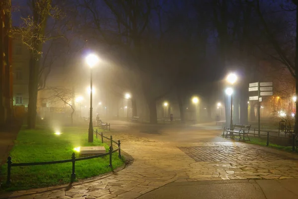 Krakow, Polonya - 06 Aralık 2015: Planty Park'ta sisli akşam