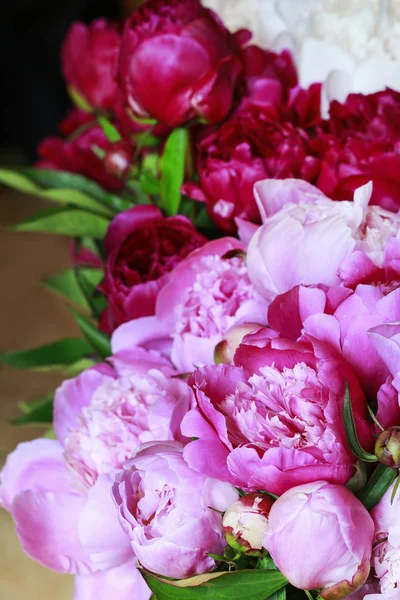 Pink peonies background. — Stock Photo, Image