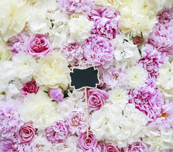 Prázdný štítek na tabuli ležící na pozadí květu s peoniemi, — Stock fotografie