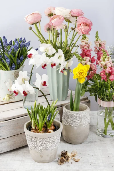 Många sorter av vårblommor. Vacker Heminredning. — Stockfoto