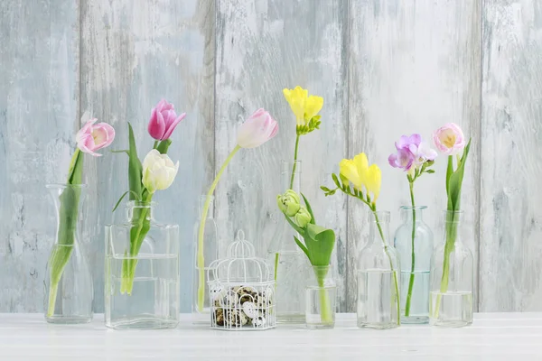 Bunte Blumen in Glasflaschen und Wachteleier im Vintage-Vogel — Stockfoto