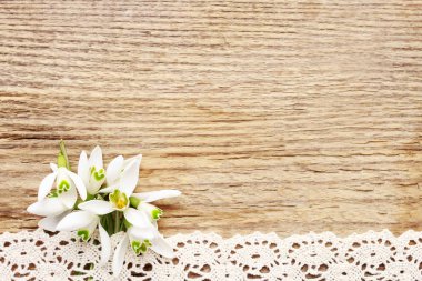 Ahşap backgr üzerinde kardelen çiçek buketi (Galanthus nivalis)