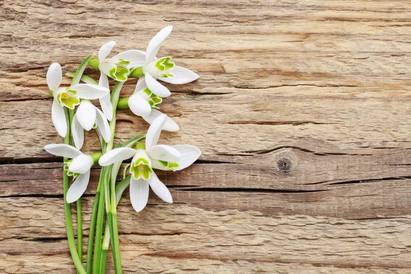 木製のバックグレッグに雪滴の花(ガランサス・ニヴァリス)の花束 — ストック写真