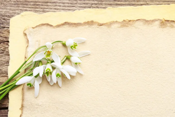 Kytice květných květů (Galanthus nivalis) na dřevěné zadní — Stock fotografie