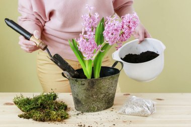 Nasıl pembe sümbül çiçekleri ile Paskalya masa dekorasyon yapmak