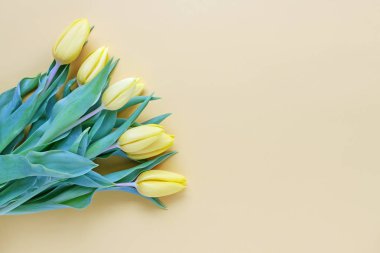 mooie tulpen op gele achtergrond
