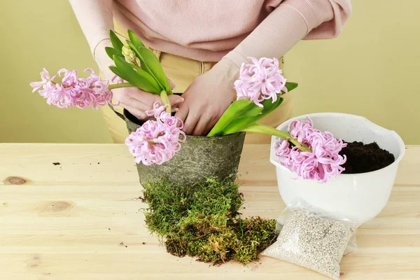 Hur man gör påskbord dekoration med rosa hyacint blommor — Stockfoto