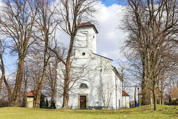 Dobczyce, Polen-20 maart 2019: kerk op de burchtheuvel — Stockfoto