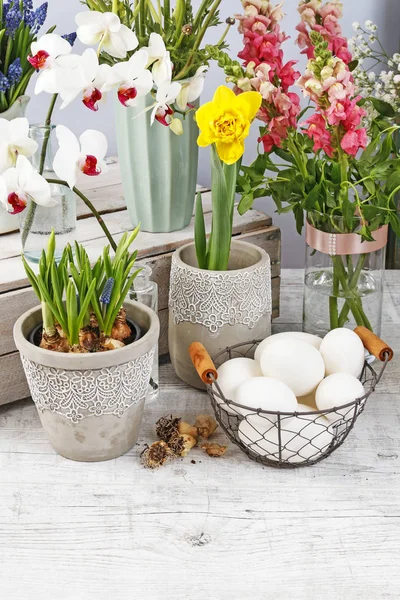 Fleur blanche d'orchidée dans le pot en céramique et beaucoup de genres de flux de ressort — Photo