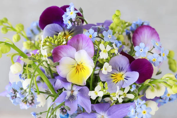 Pansy, forget-me-not, viola e giglio della valle fiori in o — Foto Stock