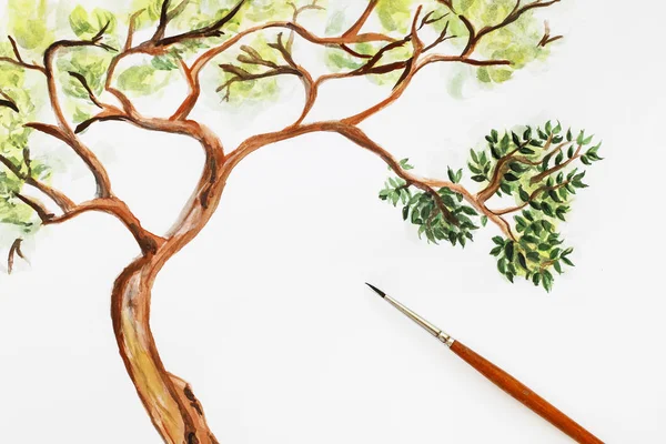 How to paint a tree using watercolours. Step four: add more deta — Stock Photo, Image