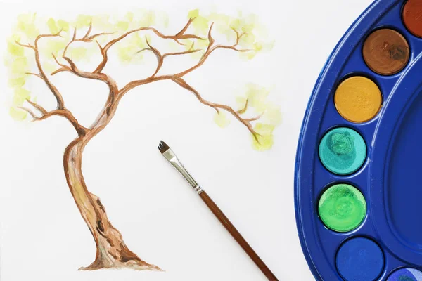 Jak malovat strom pomocí akvarelů. Krok tři: namalovat gr — Stock fotografie