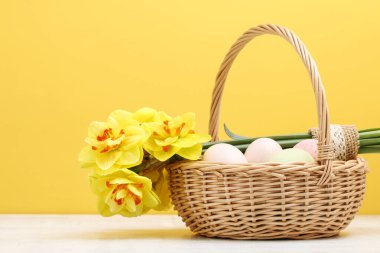 Paskalya yumurtaları ve nergis çiçekleriyle dolu hasır sepet.. 
