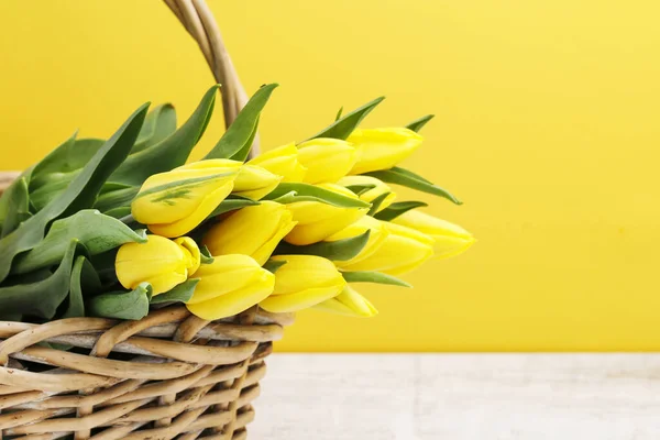 Ramo de tulipanes amarillos en canasta de mimbre . —  Fotos de Stock