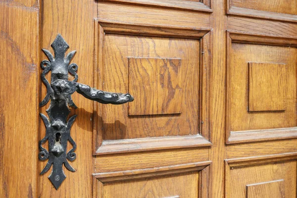 Porta de madeira com uma alça de porta decorativa . — Fotografia de Stock