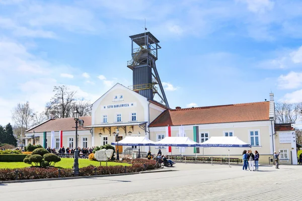 WIELICZKA, POLONIA - 15 APRILE 2019: L'albero di Danilowicz nel sale — Foto Stock