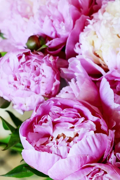 Mooie roze pioenrozen, enorm boeket bloemen. — Stockfoto