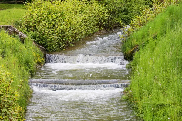 Small stream in summer. Grass around the riverbed. — Stock Photo, Image