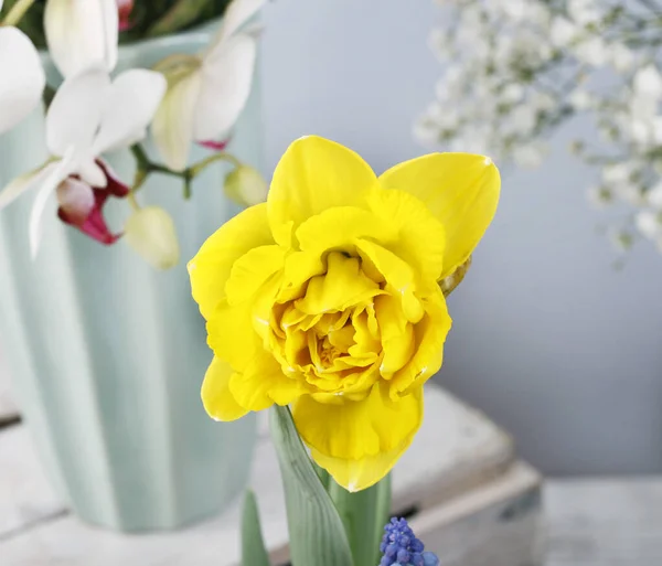 Une seule fleur jaune de jonquille dans un vase . — Photo