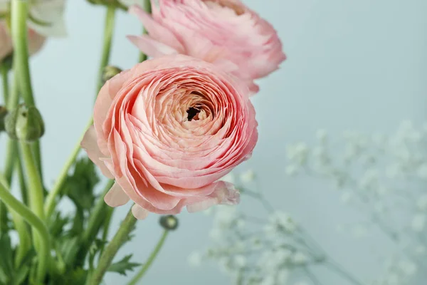 Flores de ranúnculo rosa sobre fondo azul . —  Fotos de Stock