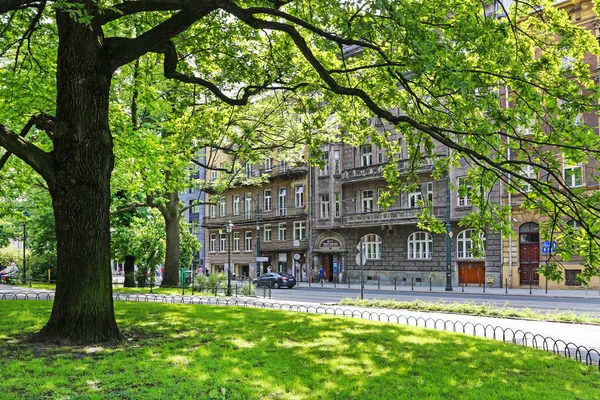 KRAKOW, POLAND - MAY 27, 2019: Very old, big tree and classic te — Stock Photo, Image