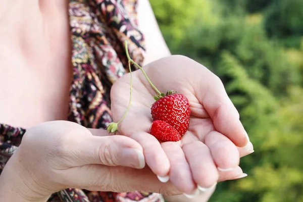 Frau hält reife Erdbeere und Walderdbeere in den Händen — Stockfoto