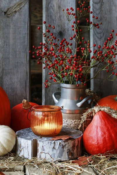 Autumn decorations with pumpkins, hay, leaves and beautiful lant — Stock Photo, Image