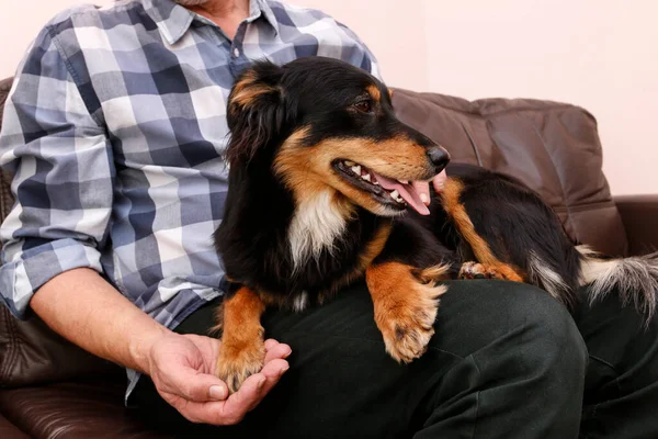 Hombre Está Sentado Sofá Con Hermoso Perro Negro Tiempo Relajación — Foto de Stock