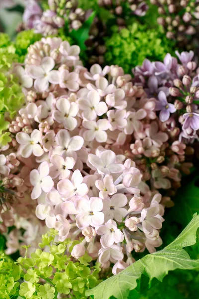 一束美丽的紫丁香花 春装潢 — 图库照片