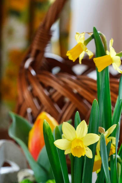 Lindas Flores Primavera Cesta Vime Mesa Decoração Primavera — Fotografia de Stock