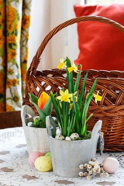 Schöne Frühlingsblumen Und Weidenkorb Auf Dem Tisch Frühlingsdekor — Stockfoto