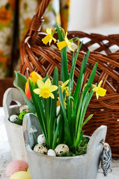 Beautiful Spring Flowers Wicker Basket Table Spring Decor — Stock Photo, Image