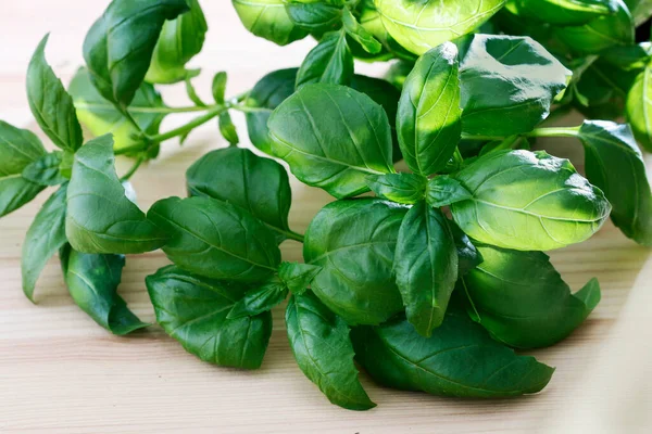 Folhas Verdes Manjericão Alimentos Saudáveis — Fotografia de Stock