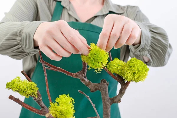 Florista Trabajo Mujer Muestra Cómo Hacer Decoración Pascua Forma Árbol — Foto de Stock