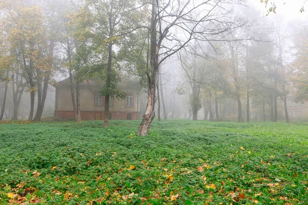 Misty Morning Park Old Abandoned House Trees Autumn Day — Stock Photo, Image