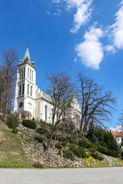 Церква Михайла Архангела Мшана Дольна Польща — стокове фото
