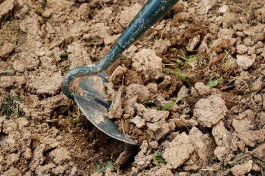 Ev bahçesinde bir çapayla çalış. Bahar çalışması