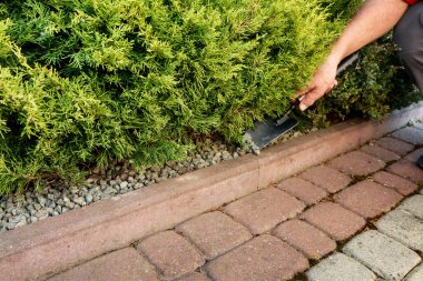 Bahçıvan: Bahçedeki patikanın yanındaki küçük çakıl taşlarından nasıl süsleme yapılır.