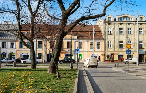 Hermoso Macizo Flores Primavera Podgorze Distrito Cracovia Polonia —  Fotos de Stock