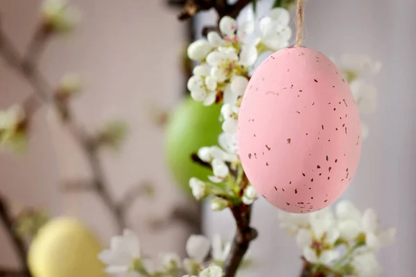 Ostereier Hängen Blühenden Apfelbaumzweigen Festliche Dekoration — Stockfoto