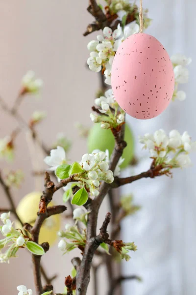Ostereier Hängen Blühenden Apfelbaumzweigen Festliche Dekoration — Stockfoto