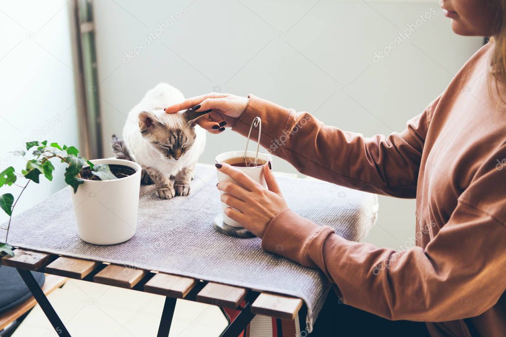 Caucasian woman enjoys spare time, Resting on the balcony and drinking tea and having fun playing with Devon Rex cat.