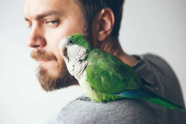 Yakın Çekim Genç Sakallı Adamın Hayvanını Quaker Papağan Omzuna Evde — Stok fotoğraf